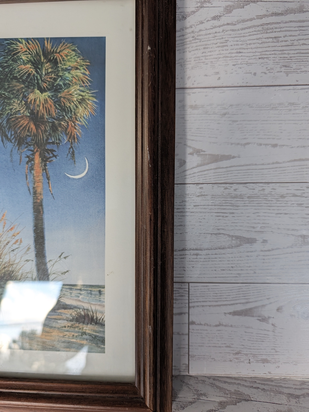 Nancy Ricker Rhett Palmetto Moon Framed Print - Picture 3 of 7